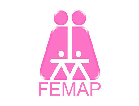 cropped-cropped-FEMAP.jpg
